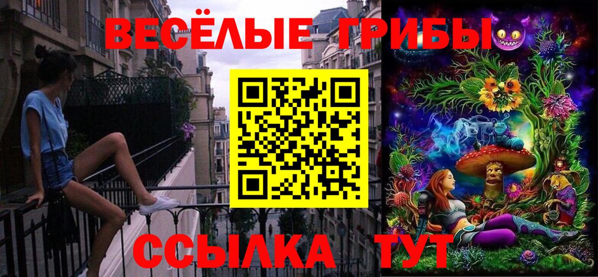 Галлюциногенные грибы Psilocybe  Вход с VPN  Рубцовск 